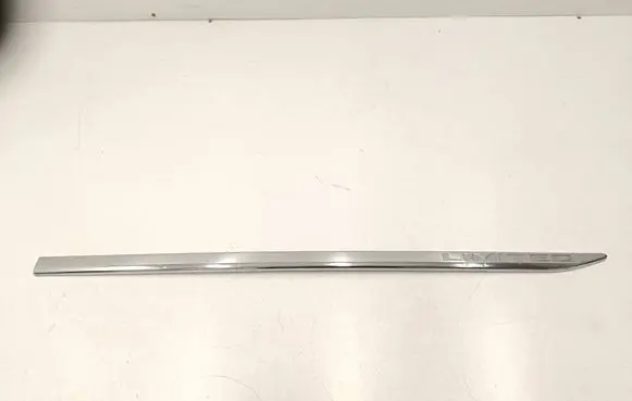 Dodge RAM 1500 DS Front door trim (molding) 5ZH20TRMAC CH4101Y20XX00