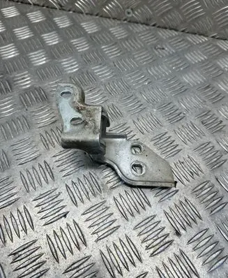 Citroen Jumper Front door lower hinge 