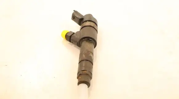 Fiat Ducato Fuel injector 0445120002