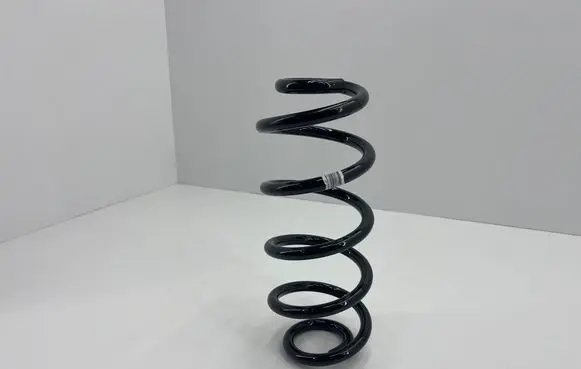 Rear coil spring