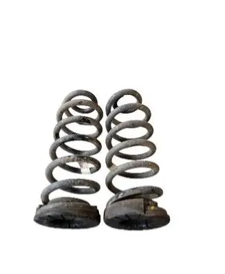 Rear coil spring