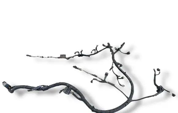 Engine installation wiring loom