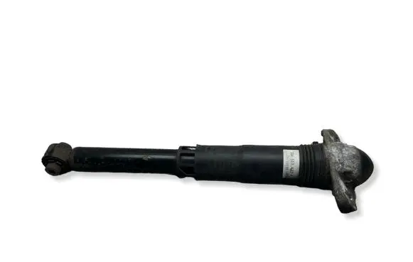 Volkswagen ID.3 Rear shock absorber/damper 1EA513423F