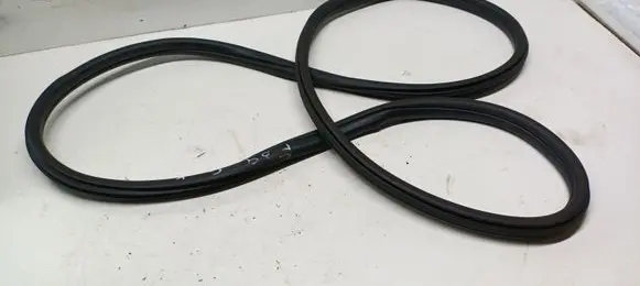 BMW X2 F39 Rear door rubber seal (on body) 7420803
