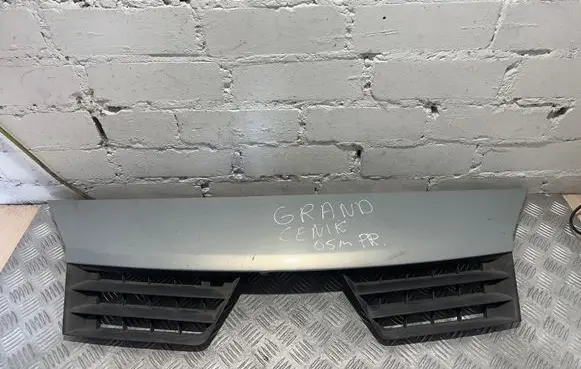 Renault Scenic II - Grand scenic II Front grill 8200183129