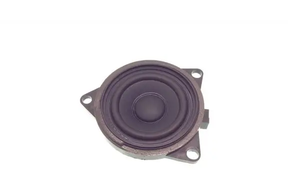 Front door speaker