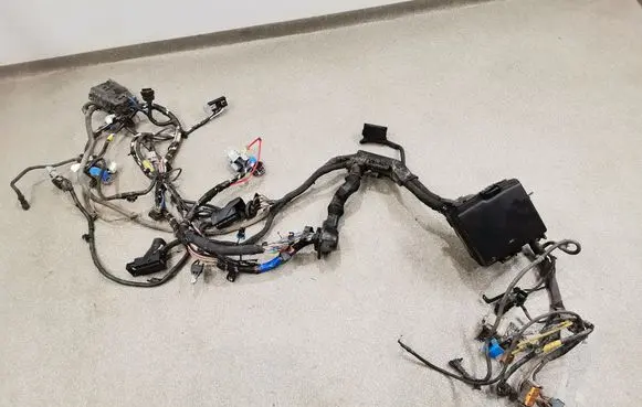 Hyundai Santa Fe Wiring harness 