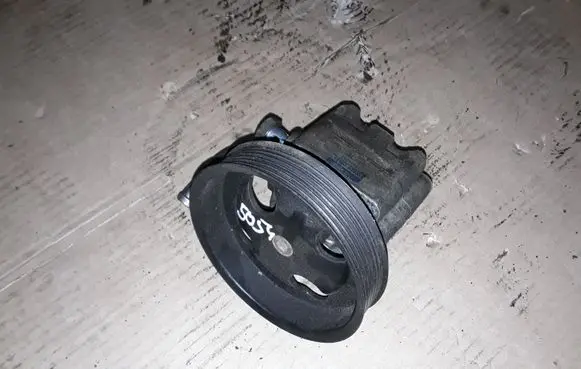 Suzuki Grand Vitara II Power steering pump 4910067J00 7X043061