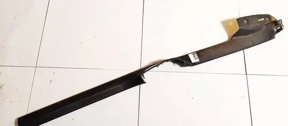 Volkswagen PASSAT B6 Front sill trim cover 3c0853369