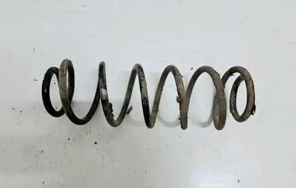 Rear coil spring
