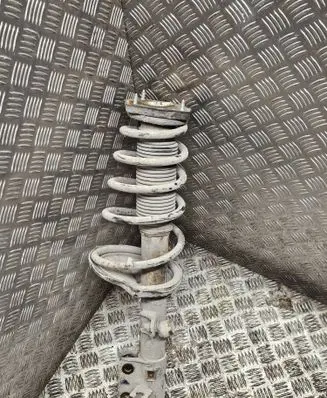 Rear shock absorber with coil spring