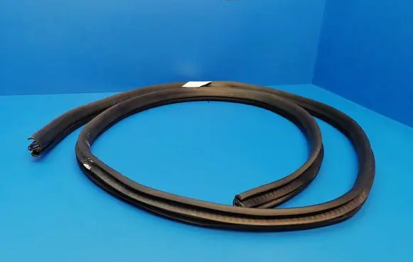 Land Rover Discovery 5 Rear door rubber seal (on body) 