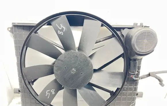 Mercedes-Benz S W220 Electric radiator cooling fan A2205000093