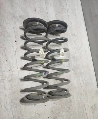 Hyundai Kona I Rear coil spring 55335J9300