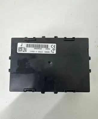 Nissan Micra Comfort/convenience module 216693907 216693928 21678053