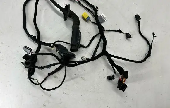 Front door wiring loom