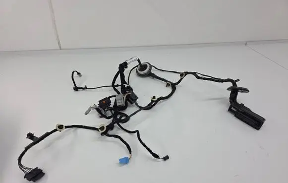 Rear door wiring loom
