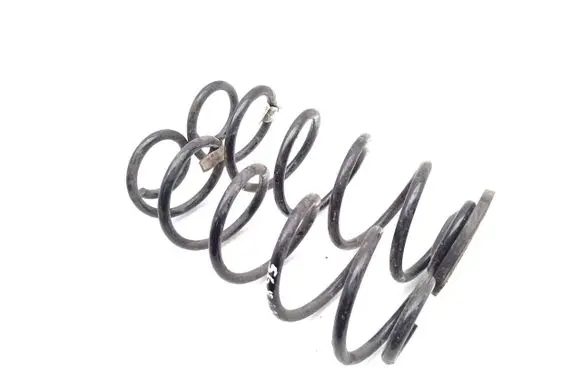 Rear coil spring