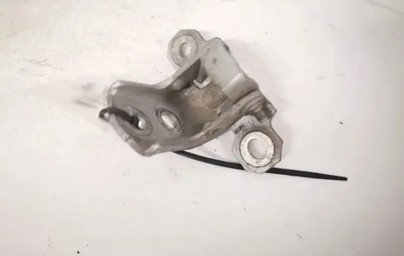 Renault Laguna II Rear door lower hinge
