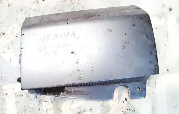 Rear/tail light trim molding