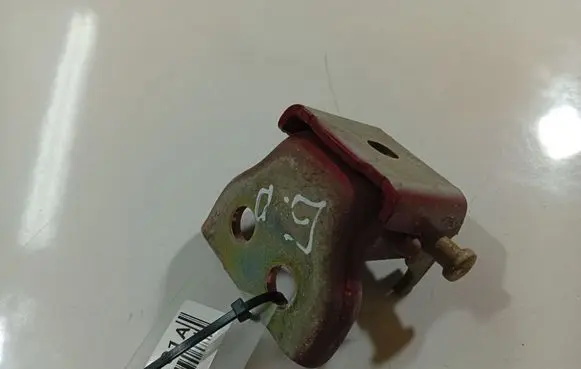 Peugeot 407 Rear door lower hinge 