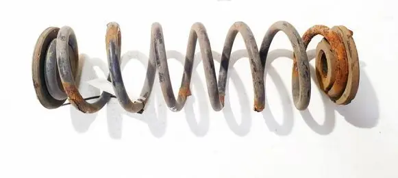 Rear coil spring