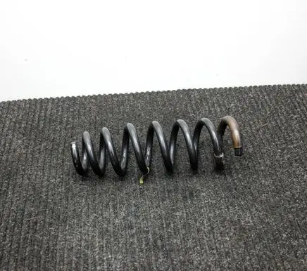 Rear coil spring