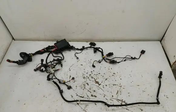 Engine installation wiring loom