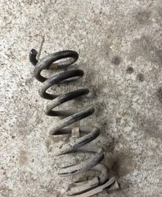 Rear coil spring