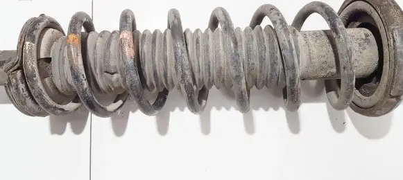 Honda Accord Rear coil spring