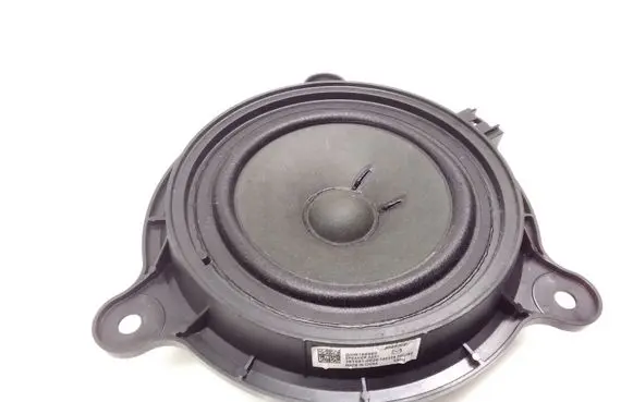 Rear door speaker
