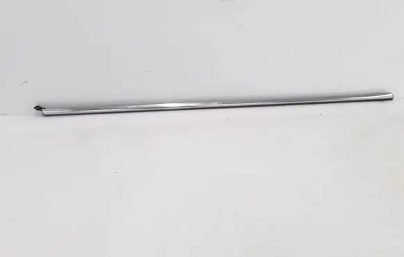 Renault Fluence Rear door trim (molding) 828200505R