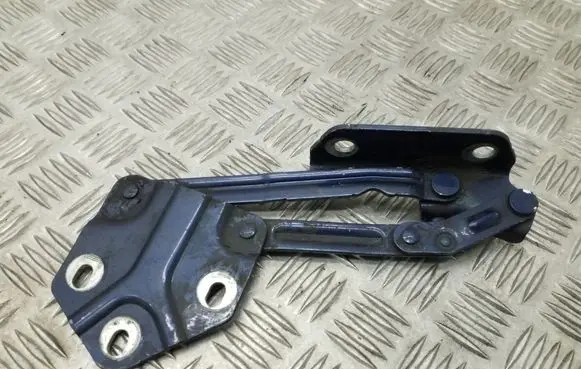 Volkswagen Touran I Tailgate/trunk/boot hinge 1T0823302