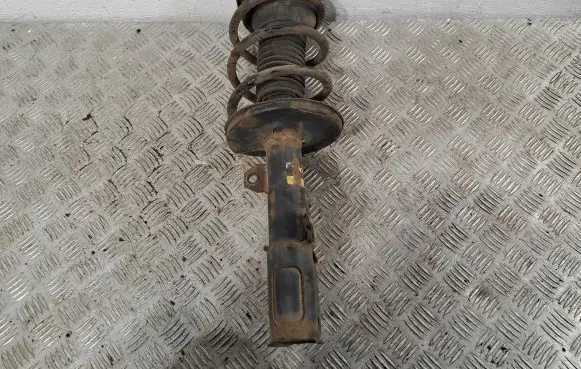 Front shock absorber with coil spring