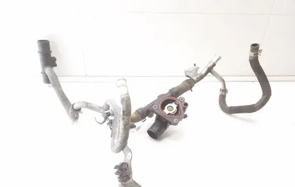 Thermostat/thermostat housing
