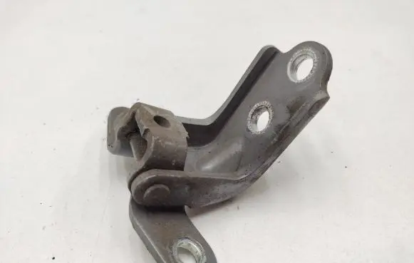KIA Sportage Front door lower hinge 