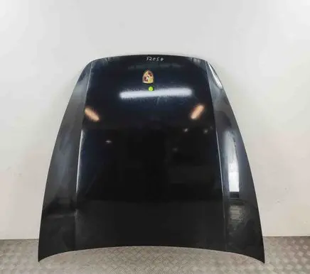 Porsche Cayenne (92A) Engine bonnet/hood 95851101102