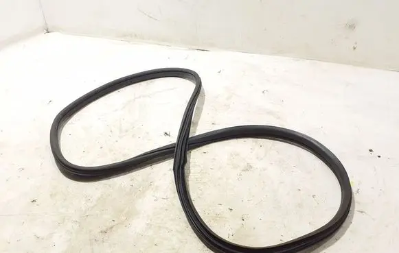 Fiat Tipo Rear door rubber seal (on body) 52015986