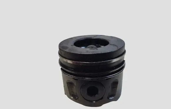 Citroen C5 Piston