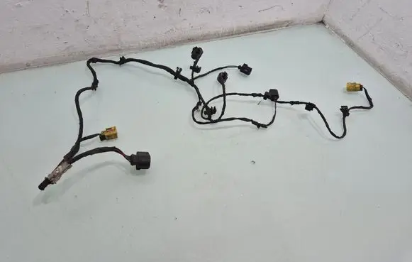 Other wiring loom