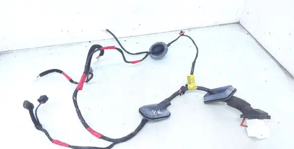 Hyundai Santa Fe Front door wiring loom 916102B240