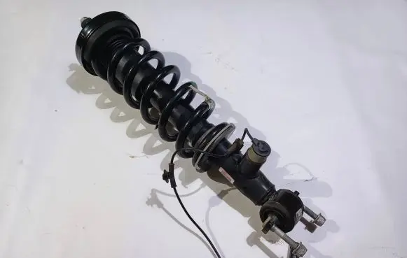 Ford Expedition Front shock absorber with coil spring JL14-18B060-EE