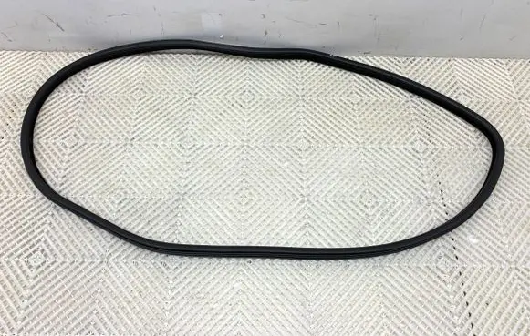 BMW X6 F16 Rubber seal front door (on door) 