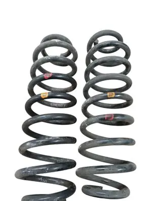 Rear coil spring