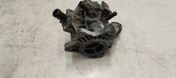 Thermostat/thermostat housing