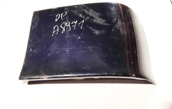 Rear/tail light trim molding