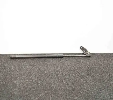 Tesla Model S Front bonnet/hood damper/strut 1955050460N
