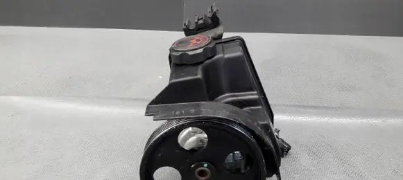 Peugeot 206+ Power steering pump 26062661