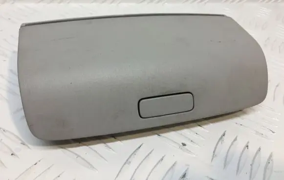 Volkswagen PASSAT B6 Sunglasses storage box 1K0868837