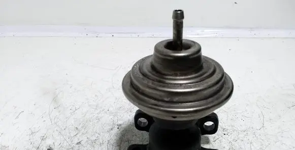 Volkswagen Golf III EGR valve 028131501E 72172302